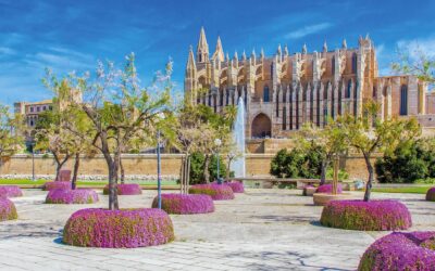 Die schönsten Gärten auf Mallorca – Entdecken Sie die grüne Seite der Insel